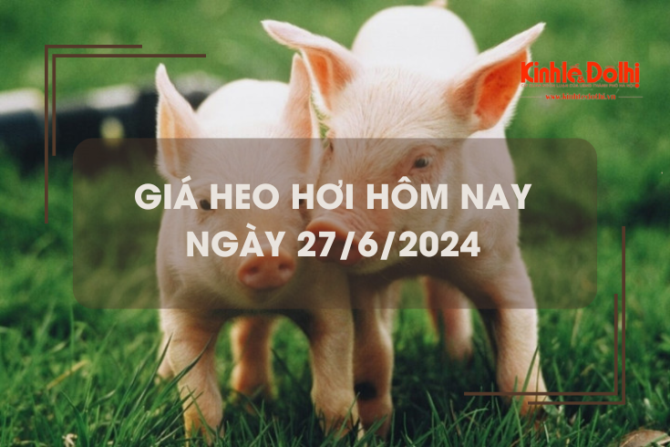 Giá heo hơi hôm nay 27/6/2024: tăng giảm trái chiều 1.000 đồng/kg