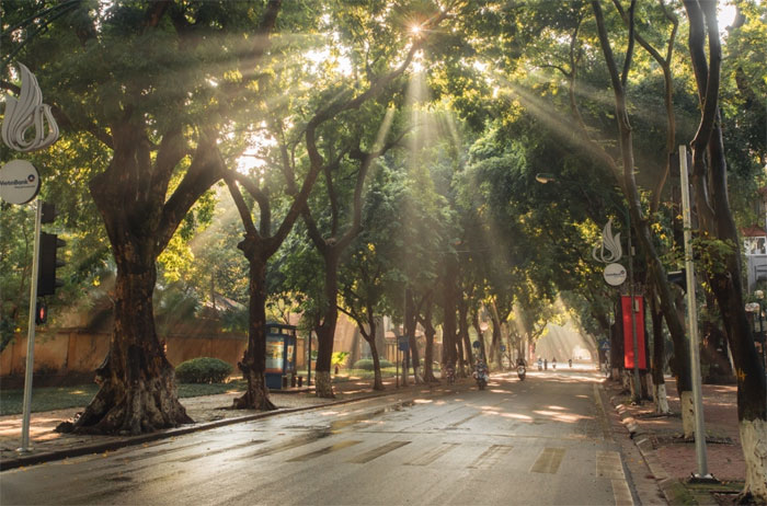 Dự báo thời tiết ngày 28/6/2024: Hà Nội sáng sớm mưa rào, ngày nắng