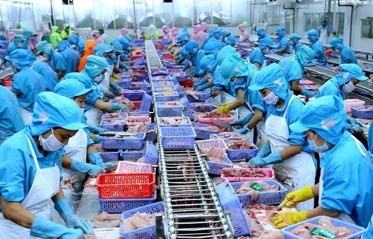 Cảnh báo thẻ vàng IUU là rào cản lớn nhất của thủy sản Việt Nam