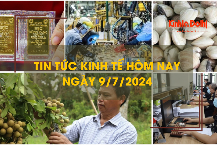 Tin tức kinh tế ngày 9/7/2024: giá nhãn Sơn La cao kỷ lục