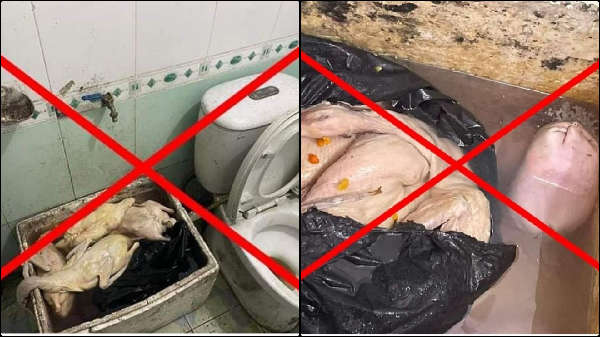 Thực hư quán vịt có giòi để cạnh bồn cầu ở thị xã Đông Triều