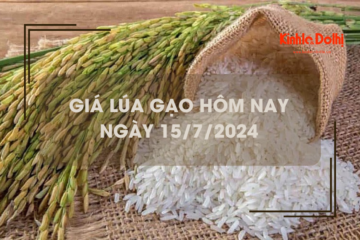 Giá lúa gạo hôm nay 15/7/2024: giá gạo xuất khẩu neo ở mức thấp nhất một năm qua