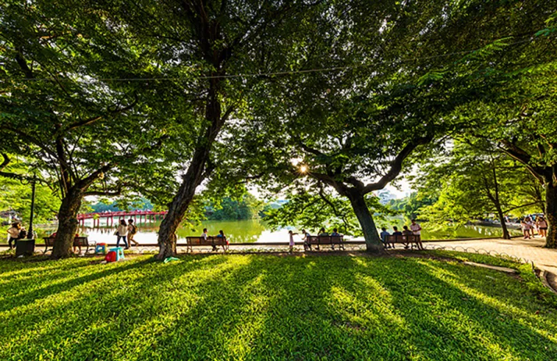 Dự báo thời tiết ngày 18/7/2024: Hà Nội sáng mưa rào và dông, tăng nhiệt nhẹ