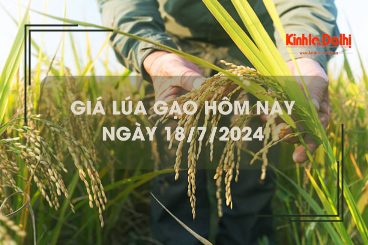 Giá lúa gạo hôm nay 18/7/2024: giá gạo tăng giảm trái chiều từ 100 - 150 đồng/kg