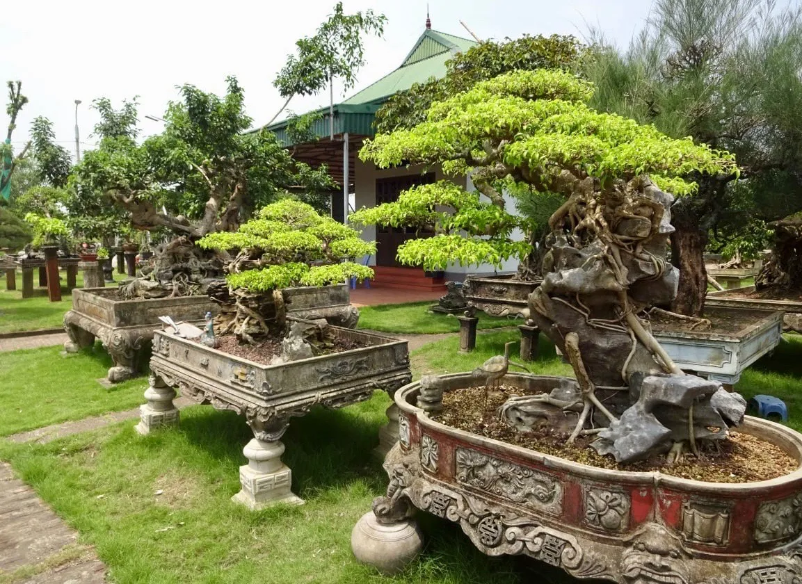 Festival sinh vật cảnh lần đầu được tổ chức tại Hà Nội