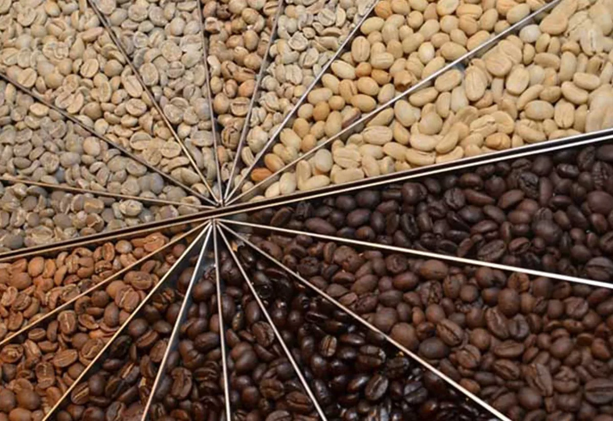 Giá cà phê hôm nay 30/7: Arabica tăng trở lại, Robusta chờ đợi Fed