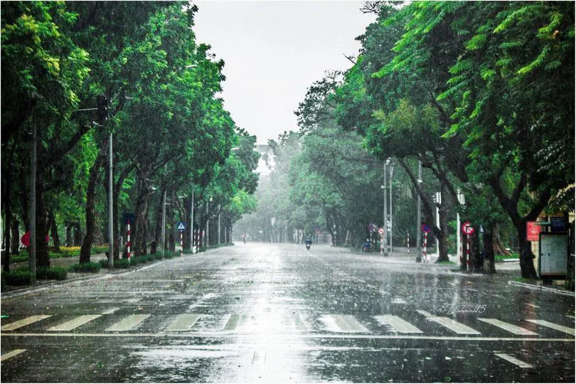 Dự báo thời tiết ngày 31/7/2024: Hà Nội mưa to rải rác, trời mát