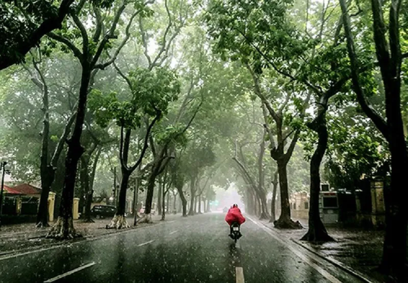 Thời tiết 10 ngày tới tại Hà Nội và cả nước ra sao?