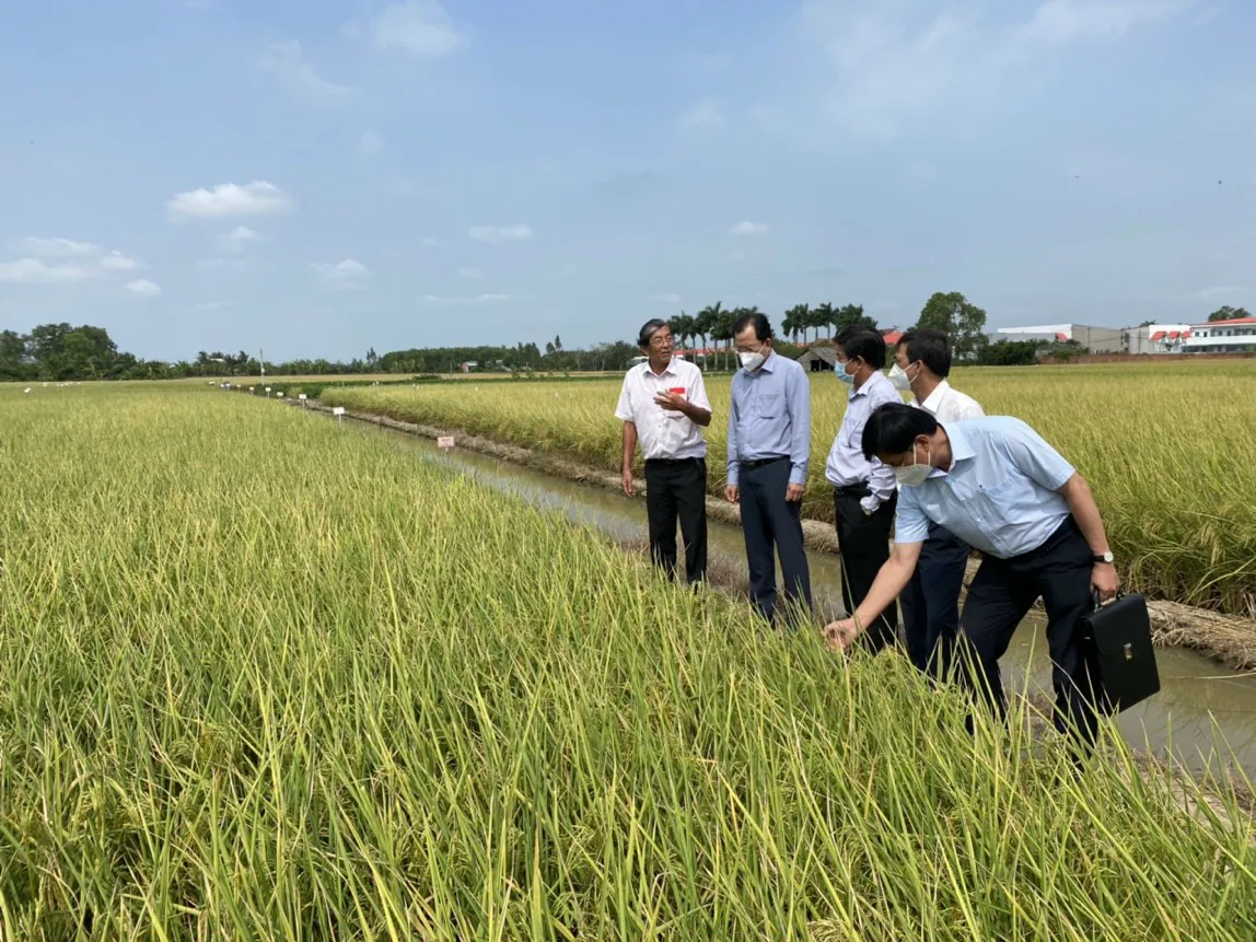 Sản xuất nông nghiệp hữu cơ, hướng đi bền vững