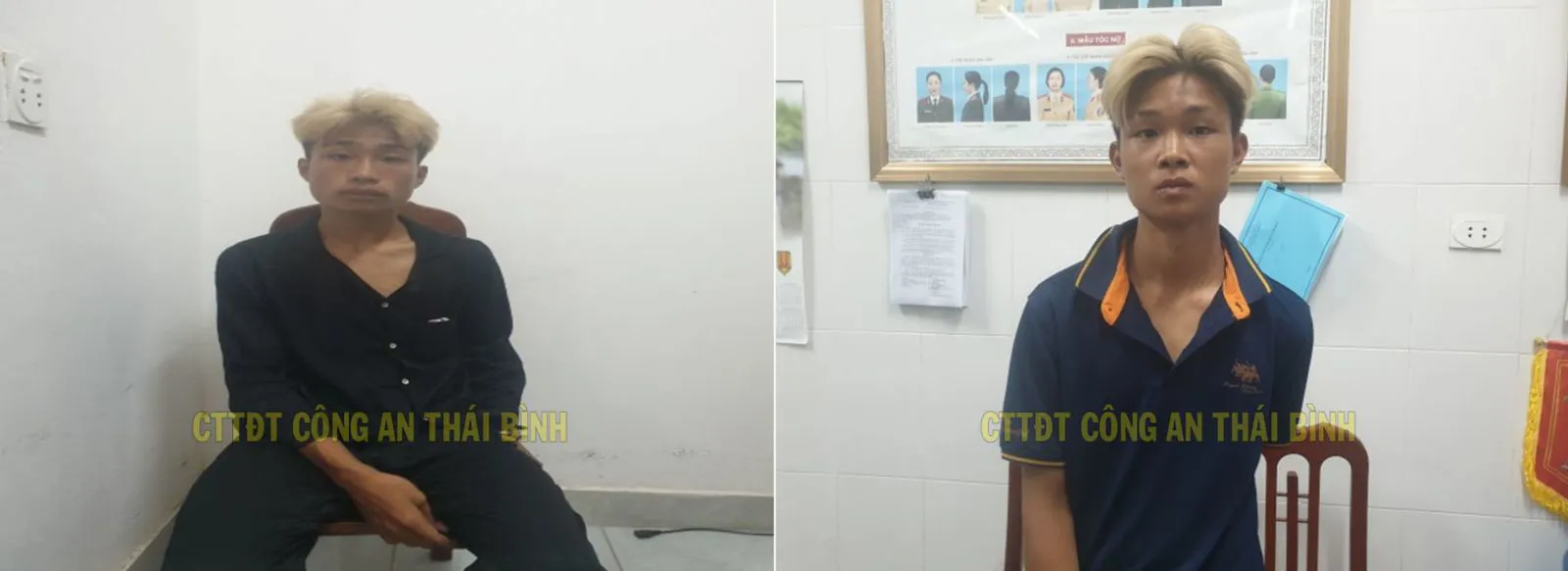 Thái Bình: khởi tố 3 đối tượng trộm cắp tài sản