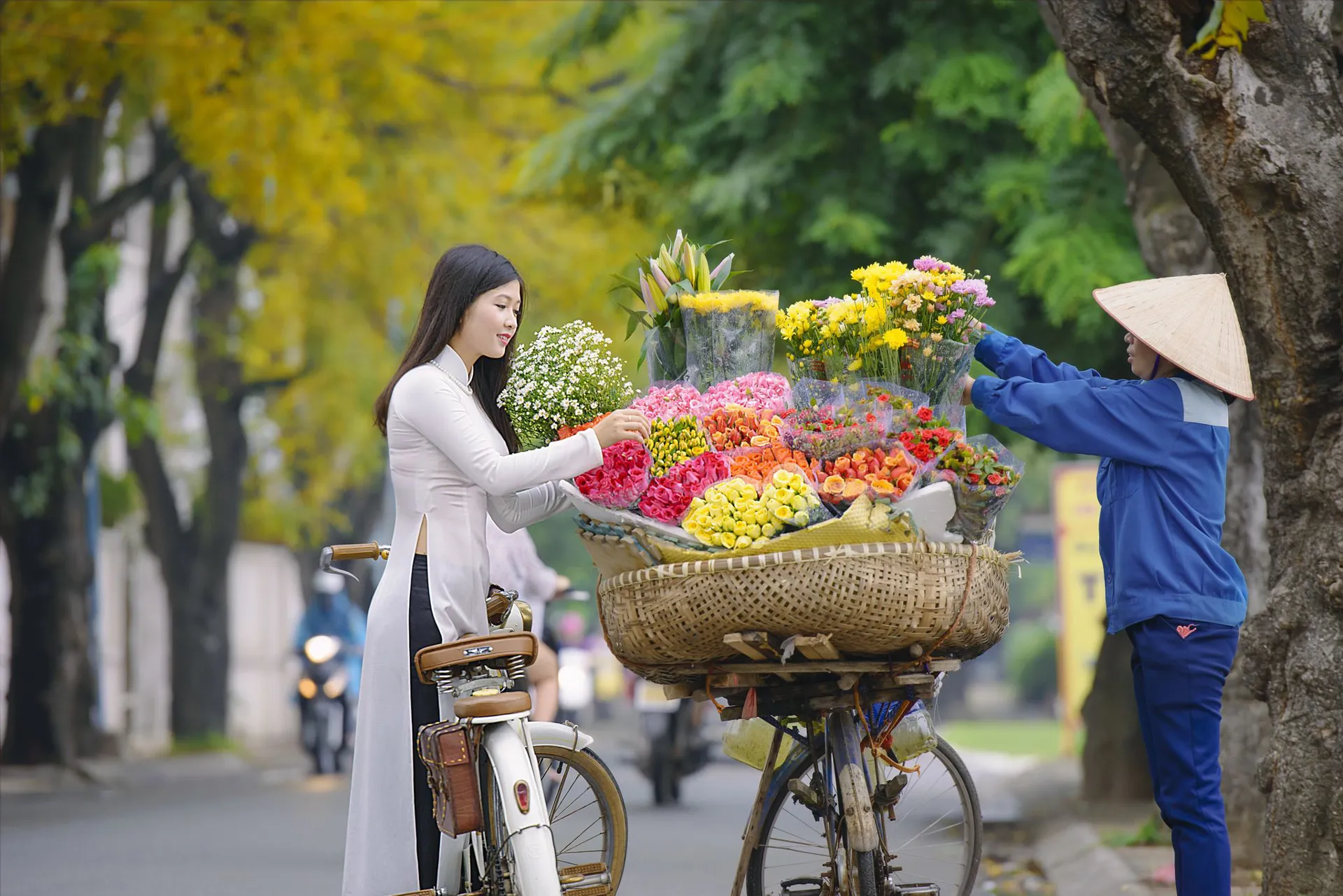 Dự báo thời tiết 10 ngày tới tại Hà Nội và trên cả nước
