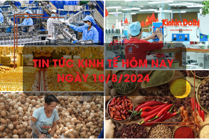 Tin tức kinh tế ngày 10/8/2024: kim ngạch xuất khẩu dệt may cao nhất trong 2 năm