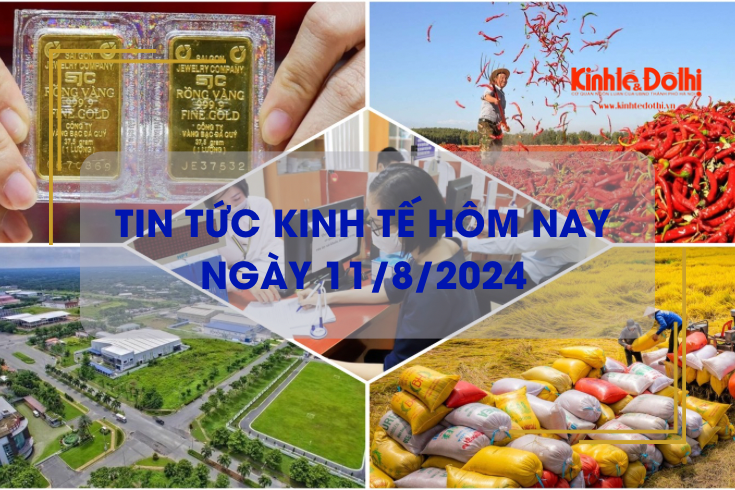 Tin tức kinh tế ngày 11/8/2024: xuất khẩu gạo năm 2024 dự báo vượt mức 5 tỷ USD