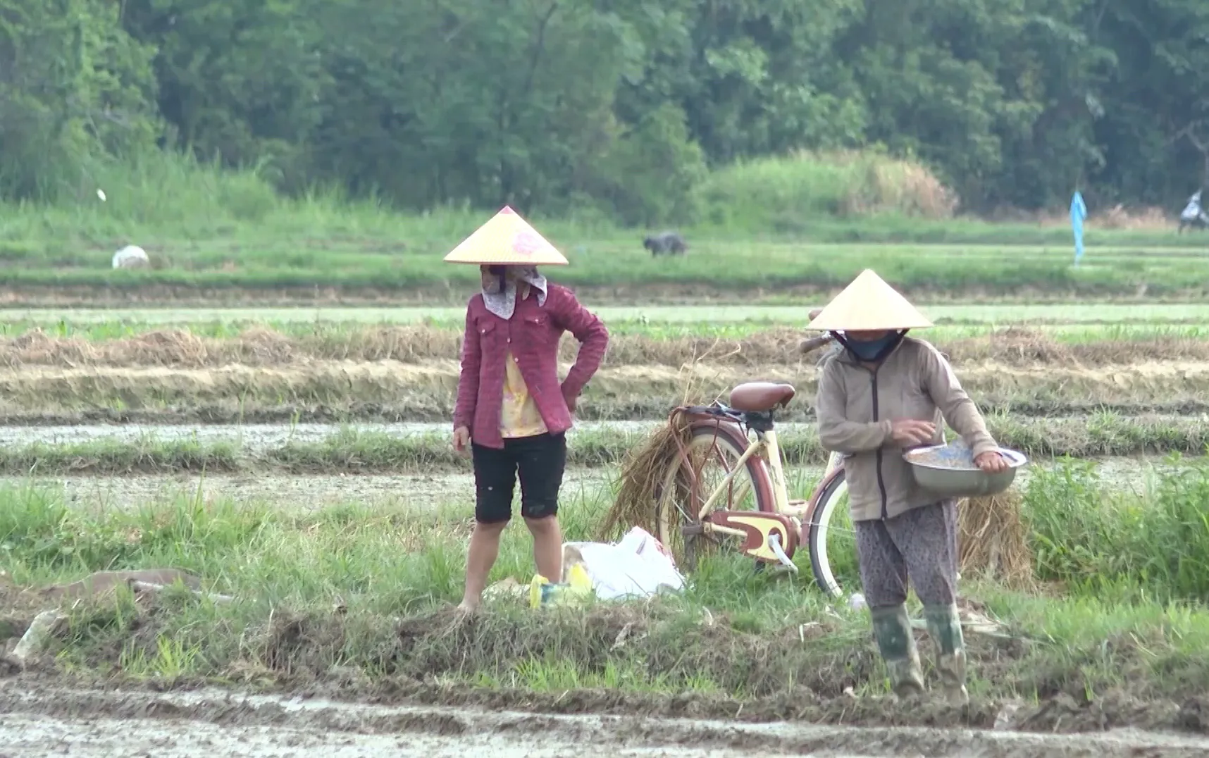 Nông dân mệt mỏi chờ sổ đỏ sau dồn điền đổi thửa
