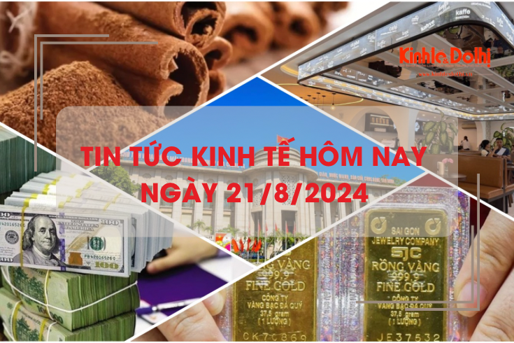 Tin tức kinh tế ngày 21/8: đồng USD chạm mức thấp nhất kể từ đầu năm