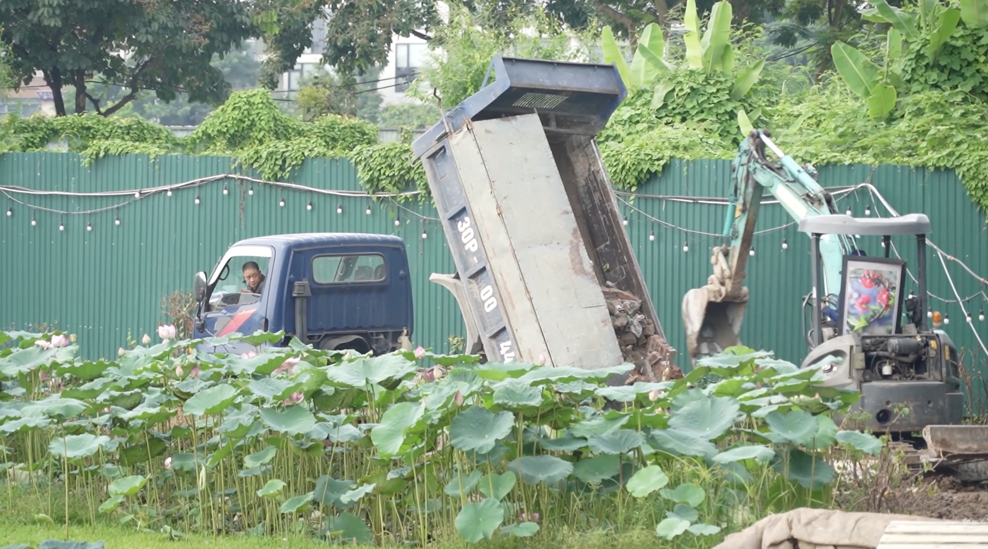 Ngang nhiên san lấp, lấn chiếm hồ Đầu Đồng