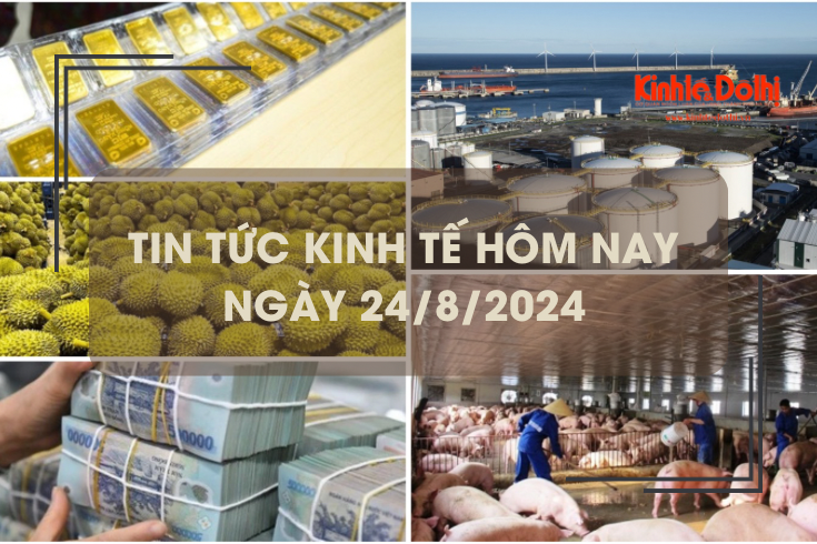 Tin tức kinh tế ngày 24/8: đảm bảo nguồn cung thịt lợn đến cuối năm