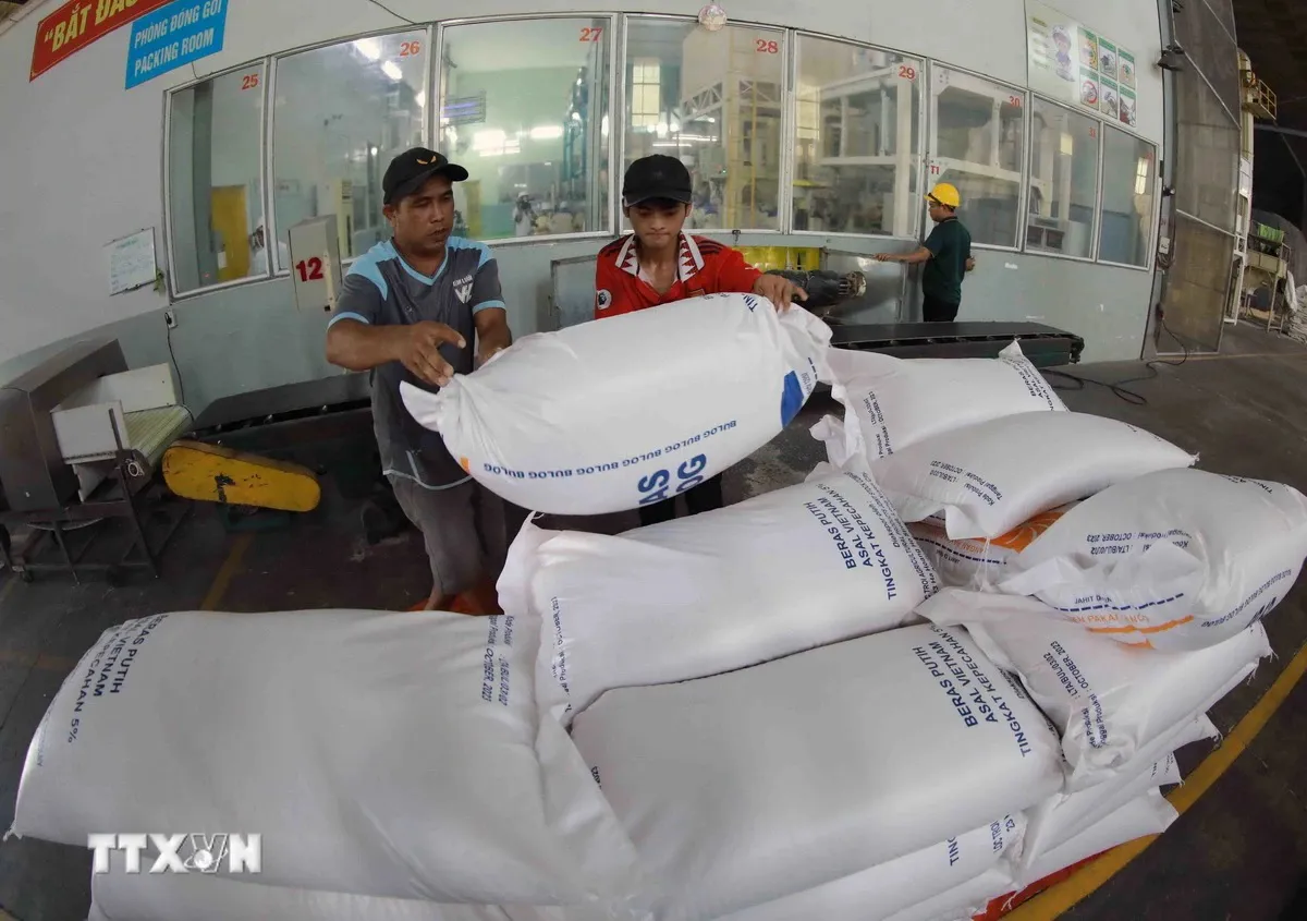 Indonesia tiếp tục mời thầu số lượng lớn, gạo Việt Nam có cơ hội?