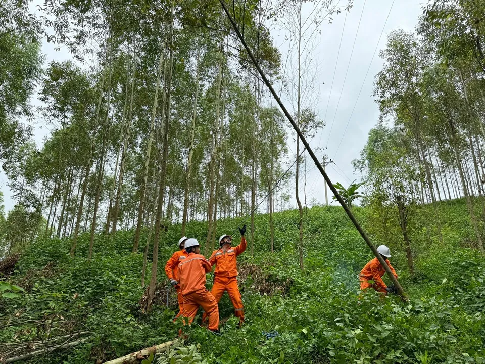 EVNNPC sẵn sàng đảm bảo cung cấp điện dịp nghỉ lễ Quốc khánh 2/9/2024