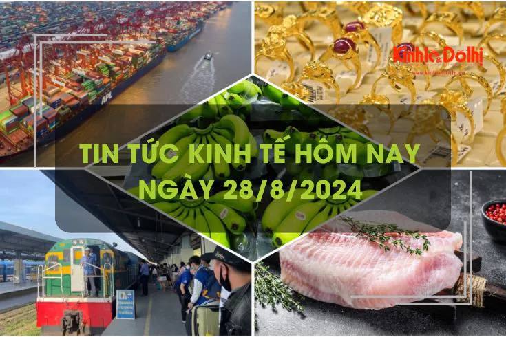 Tin tức kinh tế ngày 28/8: giá cước vận tải biển hạ nhiệt