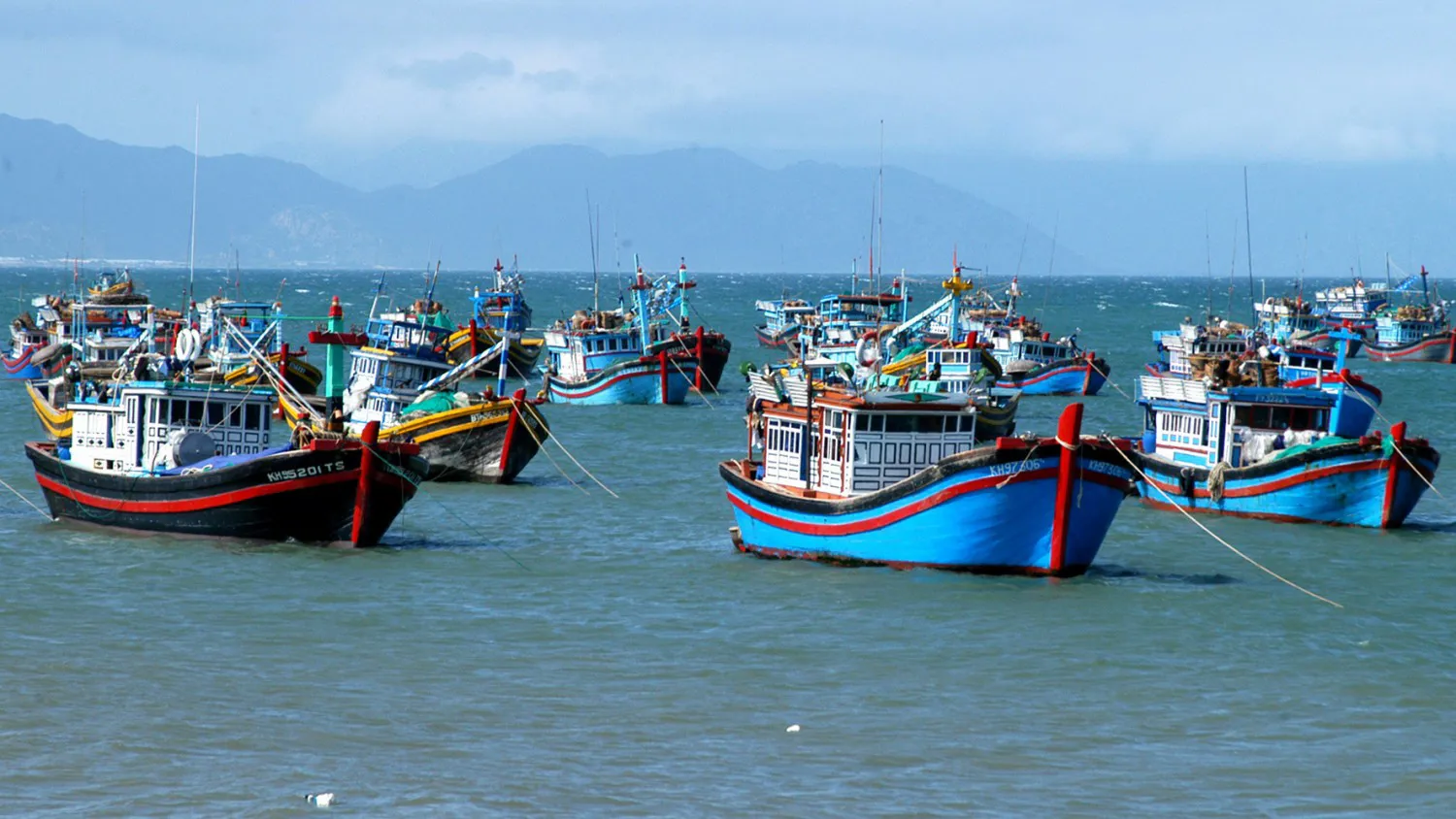 Chống khai thác hải sản bất hợp pháp, không theo quy định (IUU)