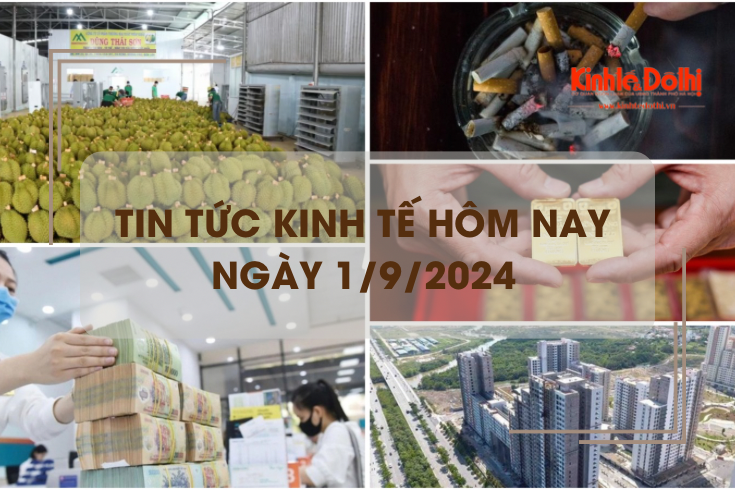 Tin tức kinh tế ngày 1/9: tín dụng bất động sản tiếp tục tăng trưởng tích cực