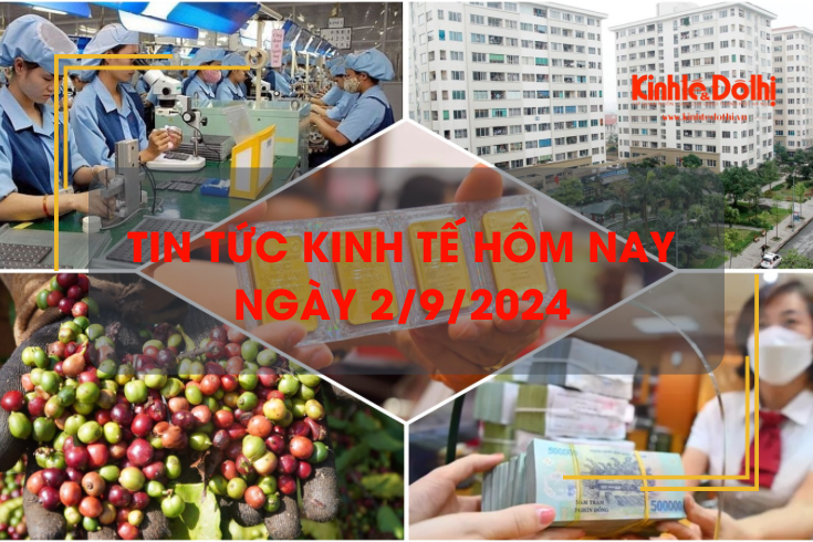 Tin tức kinh tế ngày 2/9: giá cà phê xuất khẩu tăng vọt gần 55%