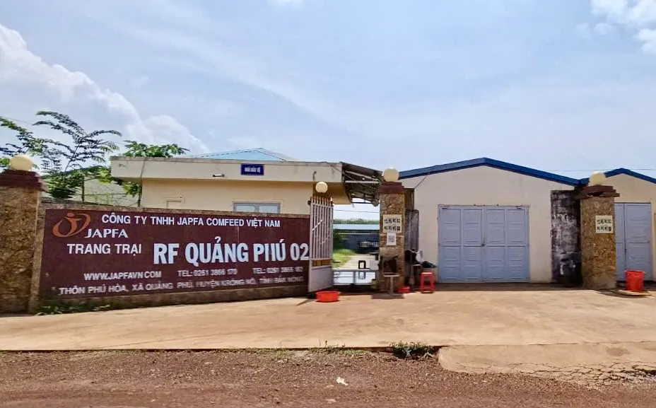 Đắk Nông: người dân bất an vì ô nhiễm từ trang trại heo lớn nhất tỉnh