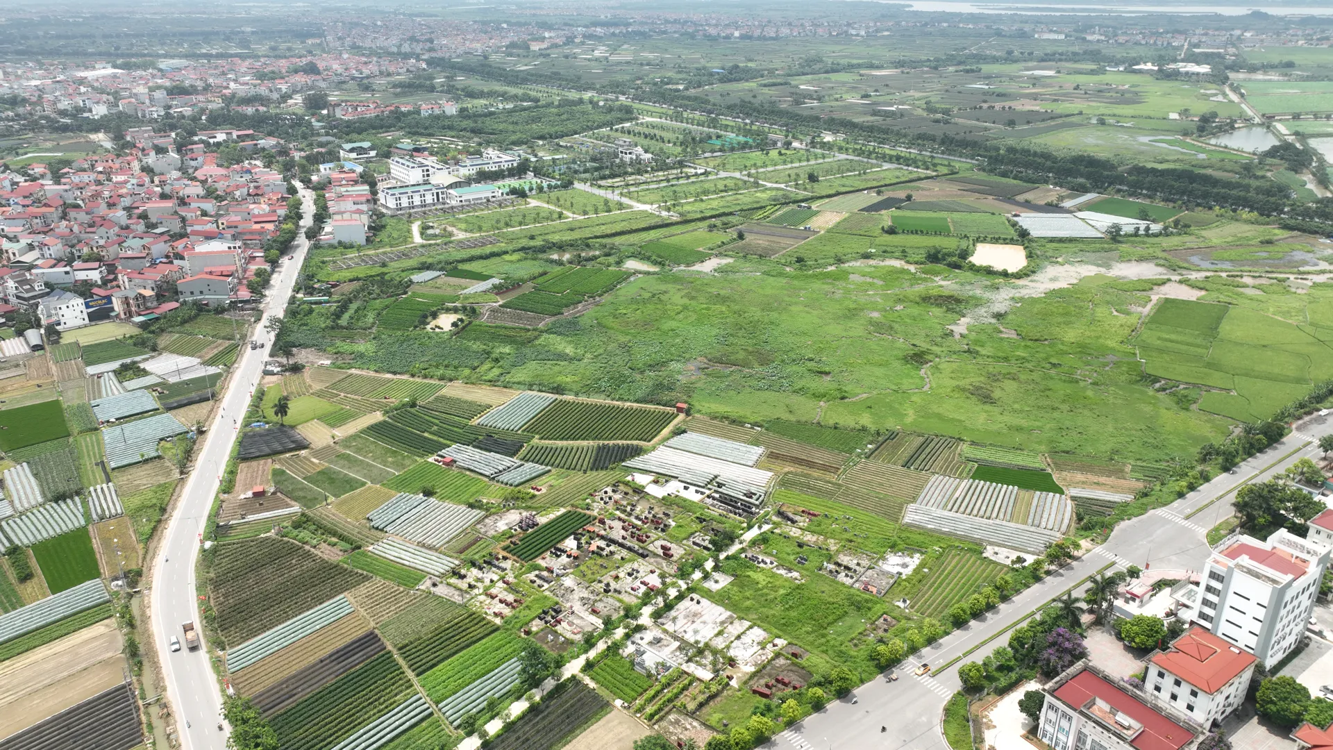 Cần biện pháp mạnh để ngăn chặn sử dụng đất sai mục đích