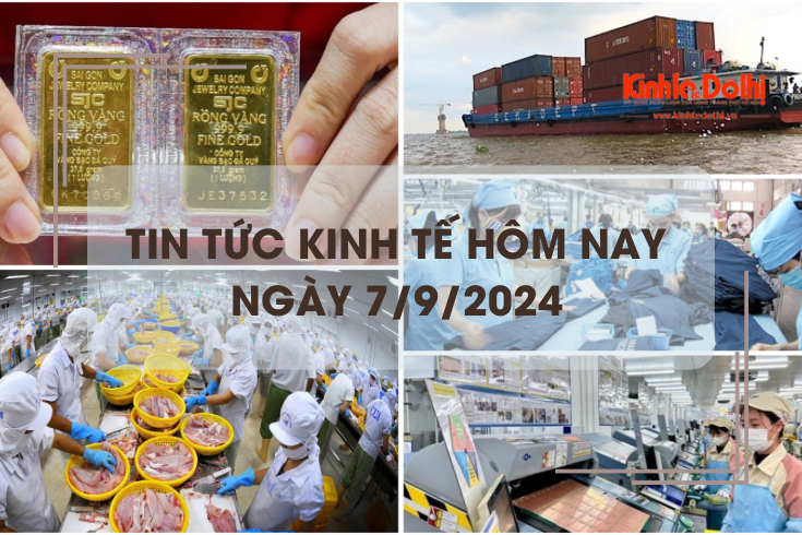 Tin tức kinh tế ngày 7/9: chỉ số giá vàng 8 tháng tăng hơn 25%