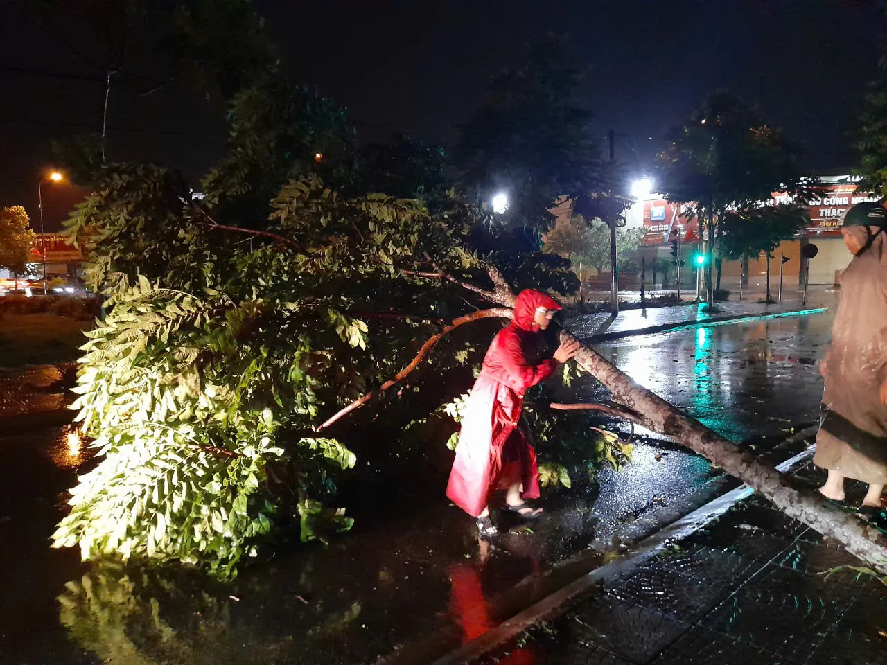 Thạch Thất: xử lý hàng loạt cây đổ, di dời người dân khỏi vùng nguy hiểm