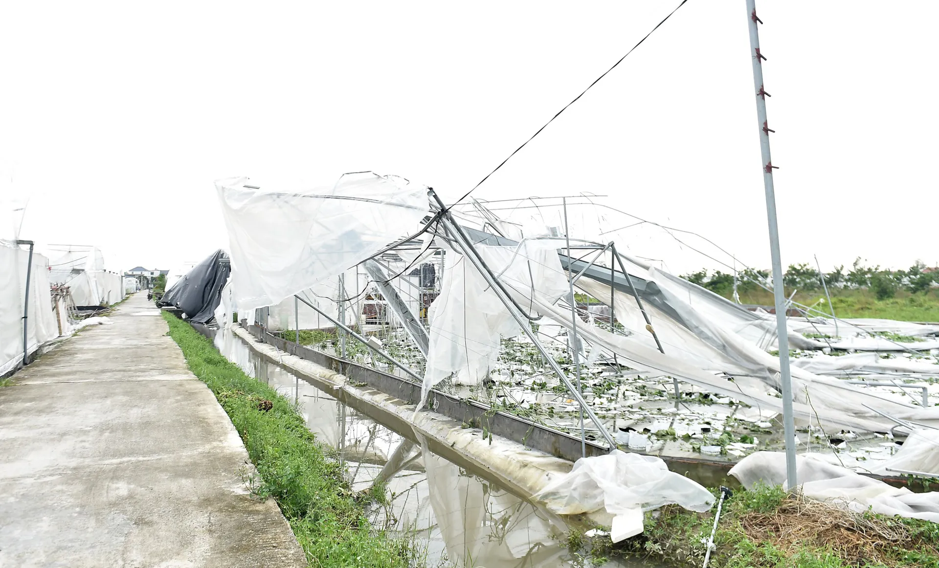 Phó Thủ tướng Lê Thành Long chỉ đạo khắc phục sau bão tại Hải Dương