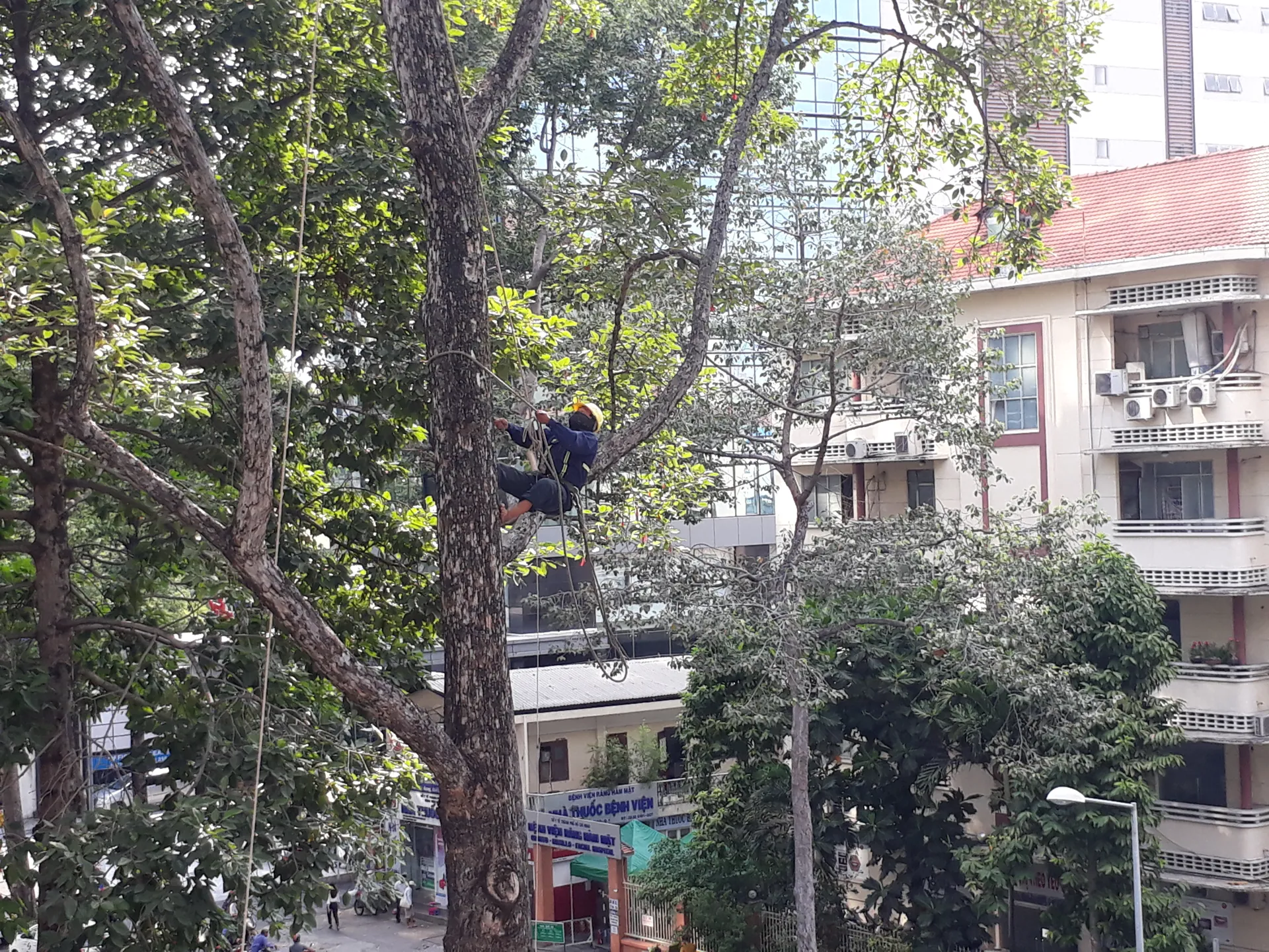 Cho phép một số lực lượng hỗ trợ khắc phục hậu quả bão số 3