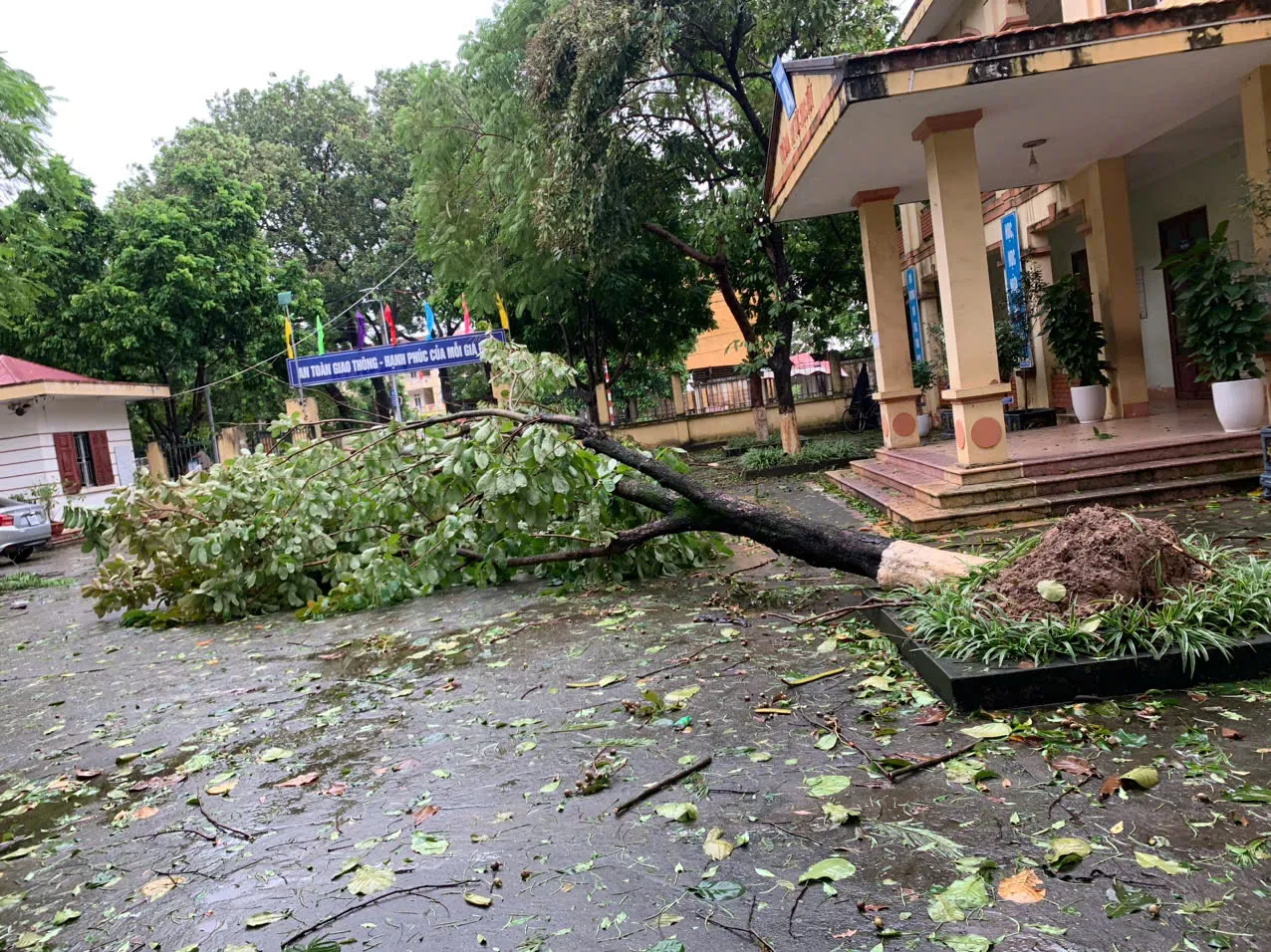 Bộ trưởng Bộ GD&ĐT: dừng cho học sinh đến trường nếu mất an toàn