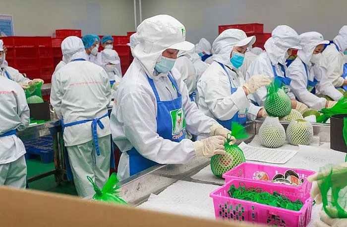 Xuất khẩu tăng mạnh, kỳ vọng đột phá