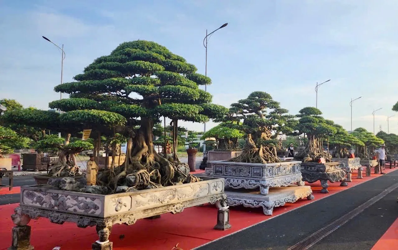 Hà Nội tổ chức đấu giá sinh vật cảnh để ủng hộ đồng bào vùng lũ