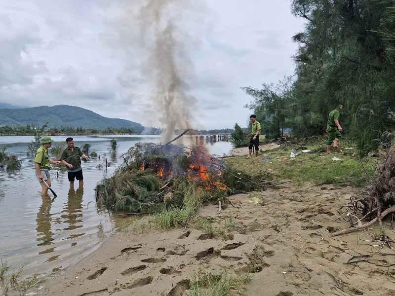 Hà Tĩnh: vào cuộc ngăn chặn săn bắt chim di cư mùa mưa bão