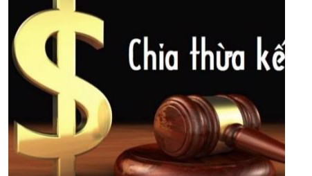 Con dâu, con rể có được chia di sản thừa kế?
