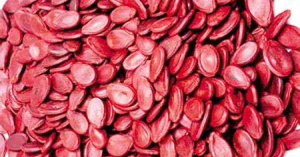 Cách chọn và bảo quản các loại hạt cho dịp Tết