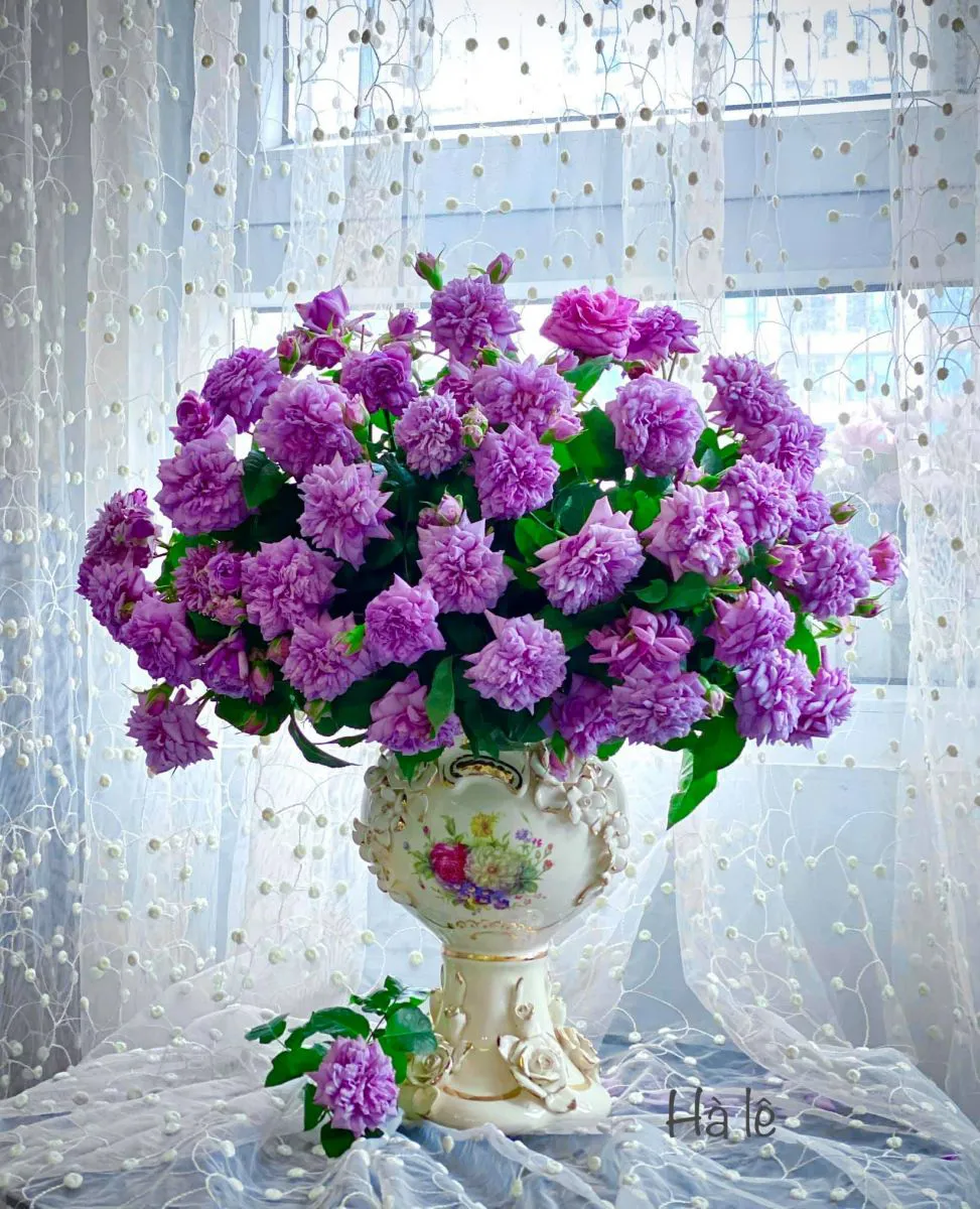 Tử vi thứ Bảy ngày 3/2/2024 của 12 cung hoàng đạo