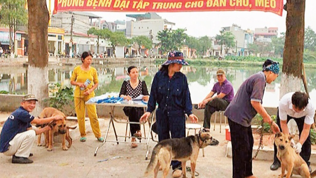 Thủ tướng ra công điện tập trung thực hiện nghiêm công tác phòng, chống bệnh dại