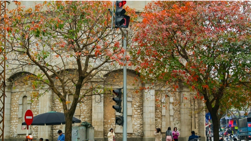 Đẹp đến nao lòng, Hà Nội mùa cây thay lá!