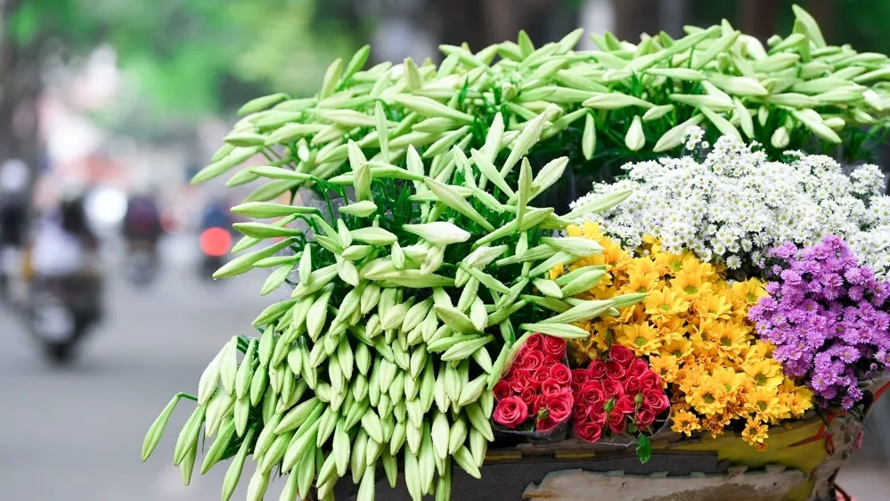 Nét dịu dàng tháng Tư