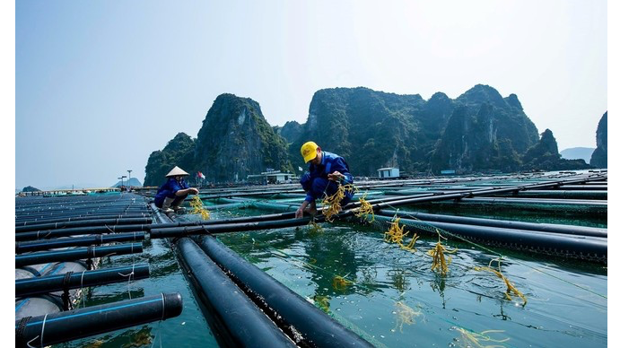 Thực hiện đầu tư dự án nuôi trồng thuỷ sản thế nào?