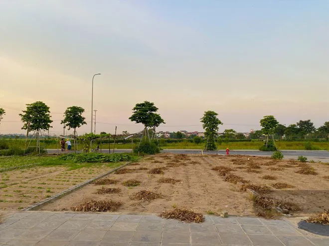 Diễn biến phân khúc đất nền trước thời điểm siết phân lô bán nền