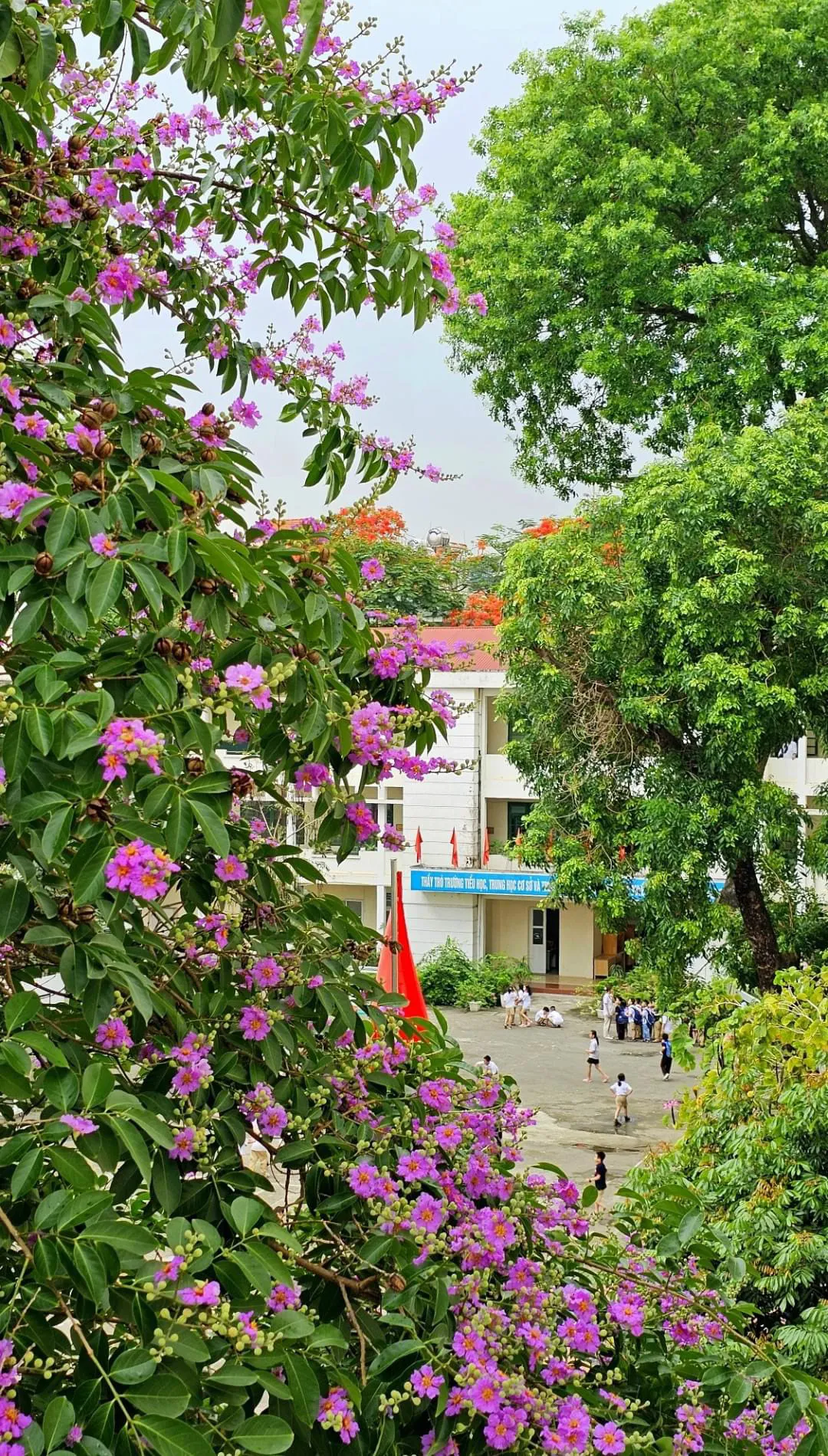 Một góc thân thuộc của